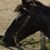 Sandy Stecher's profile image