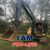 Jim Dysco Fontenot's profile image