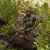 Sean Burdick's profile image