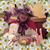 Connie Hewitt's profile image