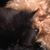 Laurie Simard Thibeault's profile image