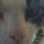 David Stillwell's profile image