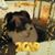 Joanne R Anderson's profile image