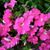 Bee Tee's profile image