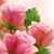 Kathy Heit's profile image