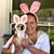 Kim Mattson's profile image