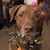 Pat Cline's profile image