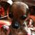 Courtney Manis's profile image