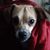 Kay Linnane's profile image
