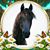 Lynai Blodgett Torabpour's profile image