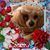 Pat Perkov Anadio Wetmore's profile image