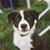 Carin Cohen's profile image