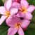 Kathy Johnston's profile image