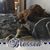 Tiffany Wasurick's profile image