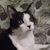 Lisa Kruser's profile image