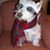 Linda Pirolo Ethier's profile image