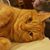 Sean Patrick McCallum's profile image