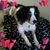 Benita Tull Herrell's profile image