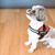 Diane Hodges Popps's profile image