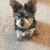 Glenda Garcia's profile image