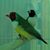 Sandeep Rakesh's profile image