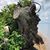 Charlene Freed-Geimer's profile image