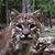 Kate Yarris's profile image