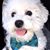 Pamela Roumas's profile image