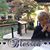 Carol Wilmore's profile image