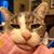 Bernadette Minutello's profile image