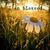 Andrea Moser's profile image