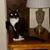 Candy Ruiz's profile image