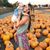 Bethany Rose Davis's profile image