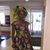 Kemi Okunseinde's profile image