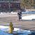 Marianne Strnad Tomani's profile image