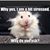 Jess Mione Thomason's profile image