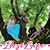 Kathleen Messmann's profile image