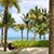 Tina Chuong's profile image