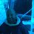 Peter Gustavsson's profile image