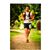 Adrian Bailes's profile image