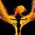 Jody Pease's profile image