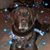 Sonya Epperson Brinton's profile image