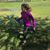 Debra Acker Ray's profile image