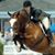 Devon Reimer's profile image