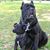 Felix Valdivia's profile image