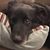 Sharon O'Neill's profile image