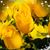 Tsdivatravel Tsdiva's profile image