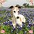 Doreen Reese's profile image
