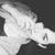 Carmen LeAnn's profile image