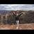 Stasha Smith's profile image